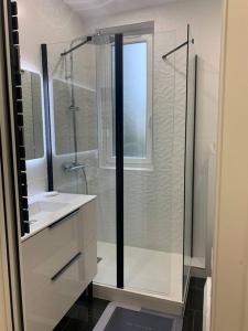 La salle de bains est pourvue d'une douche en verre et d'un lavabo. dans l'établissement SAINT DENIS ELEGEANCE, à Saint-Denis