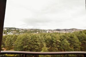 Příroda nedaleko apartmánu