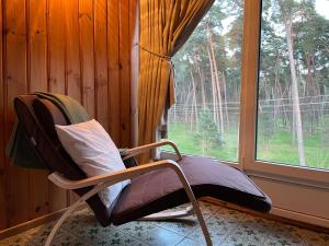Fotografie z fotogalerie ubytování Kulautuva Park Apartments v destinaci Kulautuva