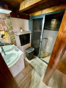 a bathroom with a sink and a shower at Victoria Tiny Stone House in Ponta do Pargo