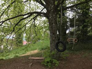 Zdjęcie z galerii obiektu Maison Bertrand w mieście Saint-Marcellin