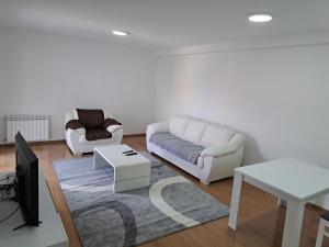 - un salon avec un canapé, une télévision et une table dans l'établissement Apartmani Swiss LUX Pozarevac, à Požarevac