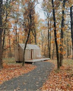 a wooden shed in the middle of a forest at Gather Greene in Coxsackie