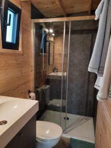 a bathroom with a shower with a toilet and a sink at La roulotte de Soiron in Pepinster