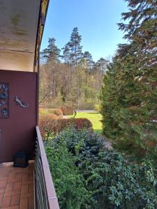 Zahrada ubytování Seen- und Felsenland