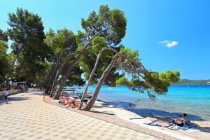 a beach with people laying on the sand and trees at Adria summer home in Biograd na Moru