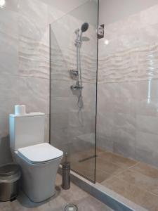a bathroom with a toilet and a glass shower at SmallHotel - Vevi in Vévi