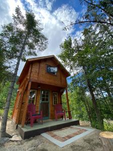 a tiny house in the woods with two chairs at Funky Bunky in Nelson