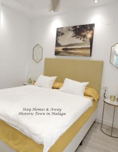 マラガにあるStay Home & Away in the Heart of Historical Townのベッドルーム1室(壁に絵画が描かれたベッド1台付)