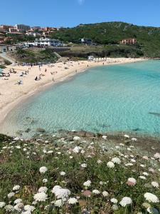 Naturlandskabet i nærheden af lejligheden