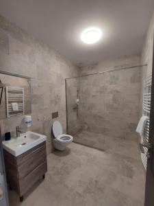 a bathroom with a toilet and a shower and a sink at NoMi Ultracentral Apartments in Târgu-Mureş