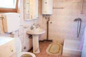 a small bathroom with a toilet and a sink at Petrov konak - apartman Aleksandra 