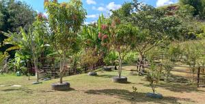 En have udenfor CHÁCARA TERRA dos SONHOS