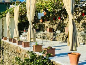 a group of umbrellas and potted plants on a patio at Bungalow Los Laureles in El Paso +38 photos
