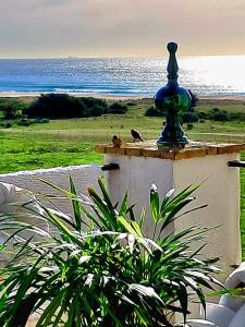 a couple of birds sitting on top of a wall at AIRUNNES Atico duplex Zahara primera linea in Zahara de los Atunes