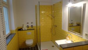 a bathroom with a shower and a toilet and a sink at Designerwohnung Berlin Mitte in Berlin +14 photos