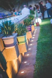 a row of potted plants on a wall with lights at Peri peri room in Siracusa