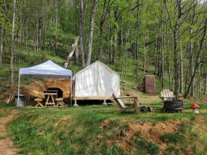 a tent and a picnic table in a field at Tentrr Signature Site - Greener Acres Roan Mountain View in Roan Mountain