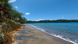 a view of a beach with water and trees at Lovely 2 Bedroom House in St Thomas Jamaica in Belfast