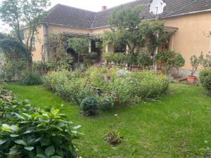 a house with a garden of flowers in the yard at Petrov konak - apartman Aleksandra 