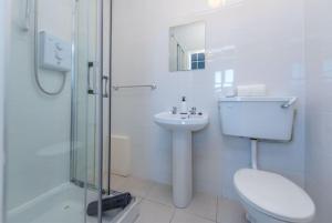 a bathroom with a toilet and a sink and a shower at Clonbur House - Studio village apartment in Galway