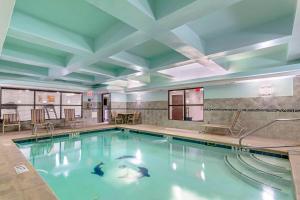 a swimming pool with ducks in the water at Comfort Suites At Kennesaw State University in Kennesaw