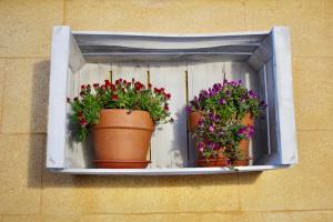Fotografie z fotogalerie ubytování B&B DEGLI ANGELI v destinaci Lecce