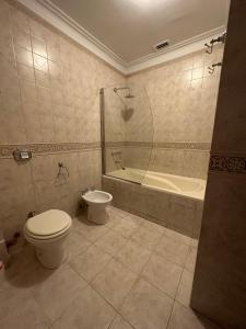 a bathroom with a toilet and a tub and a sink at Gran Casa del Centro Mendoza City in Mendoza