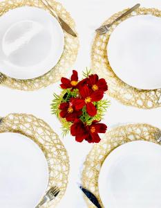 ベヘール・デ・ラ・フロンテーラにあるRomance Vejerの白皿の群れに赤い花をつけた