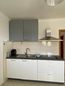 A kitchen or kitchenette at Panorama Apartment Jakov