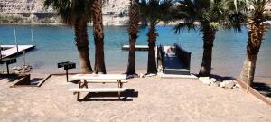 a picnic table on a beach with palm trees at River view Lazy Casa in Bullhead City