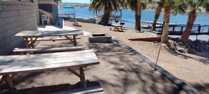 two picnic tables on the beach with palm trees at River view Lazy Casa in Bullhead City