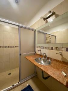 a bathroom with a sink and a shower at Casa Mía in Resistencia +30 photos
