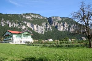 a house in a field with a mountain in the background at Agriturismo Florandonole in Fai della Paganella