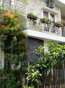 a building with potted plants on a balcony at ChiGhaya Guest House in Lawean