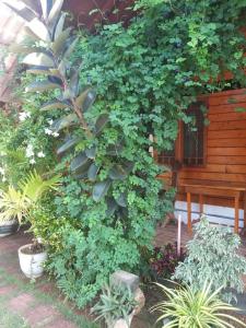 Une bande de plantes et un banc dans un jardin dans l'établissement DOT BEY beach cabana, à Trincomalee