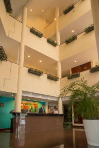 Φωτογραφία από το άλμπουμ του Hotel Palma Real στο Σαν Χοσέ