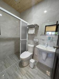 a bathroom with a toilet and a sink at Islandlife B&B in Huxi