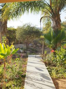 une passerelle dans un jardin planté de fleurs et d'arbres dans l'établissement Mystic Breeze, à El Pescadero