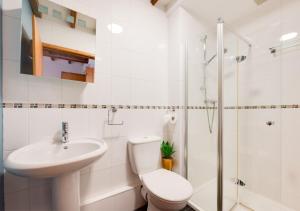 ein Bad mit einem WC, einem Waschbecken und einer Dusche in der Unterkunft Stabal y Gelli in Trawsfynydd