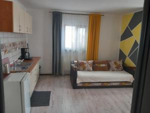 a living room with a couch and a kitchen at VILA DAVISON in Târgu Jiu