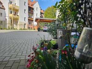 a courtyard with a bunch of plants and flowers at Käthe-Kollwitz - Straße 54, F3 in Altenburg