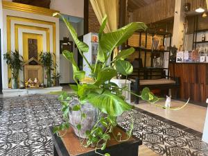 Fotografie z fotogalerie ubytování The Sanctuary Villa Battambang v destinaci Battambang