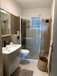 a bathroom with a shower and a toilet and a sink at Kasamia vue mer à St Leu in Saint-Leu