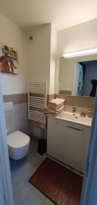 een badkamer met een toilet, een wastafel en een spiegel bij Duplex cathédrale in Cannes