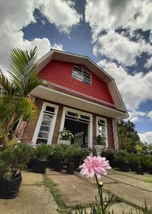 uma casa vermelha e branca com uma flor em frente em BERYL HOMESTAY em Tarutung