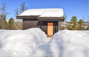 a snow covered building with a pile of snow at Lovely Home In Geilo With Kitchen in Dagali