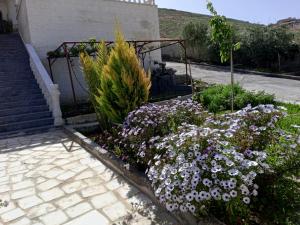 a garden with purple and white flowers next to a staircase at family studio in Wadi Musa