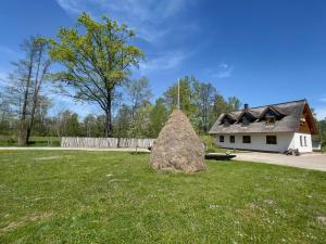 een grote rots in het gras voor een huis bij Ferienwohnung Storchennest Spreewald in Burg Kauper