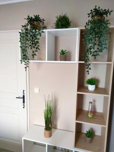 フォス・シュル・メールにあるChambre privéeの鉢植えの白い本棚 +14枚の写真
